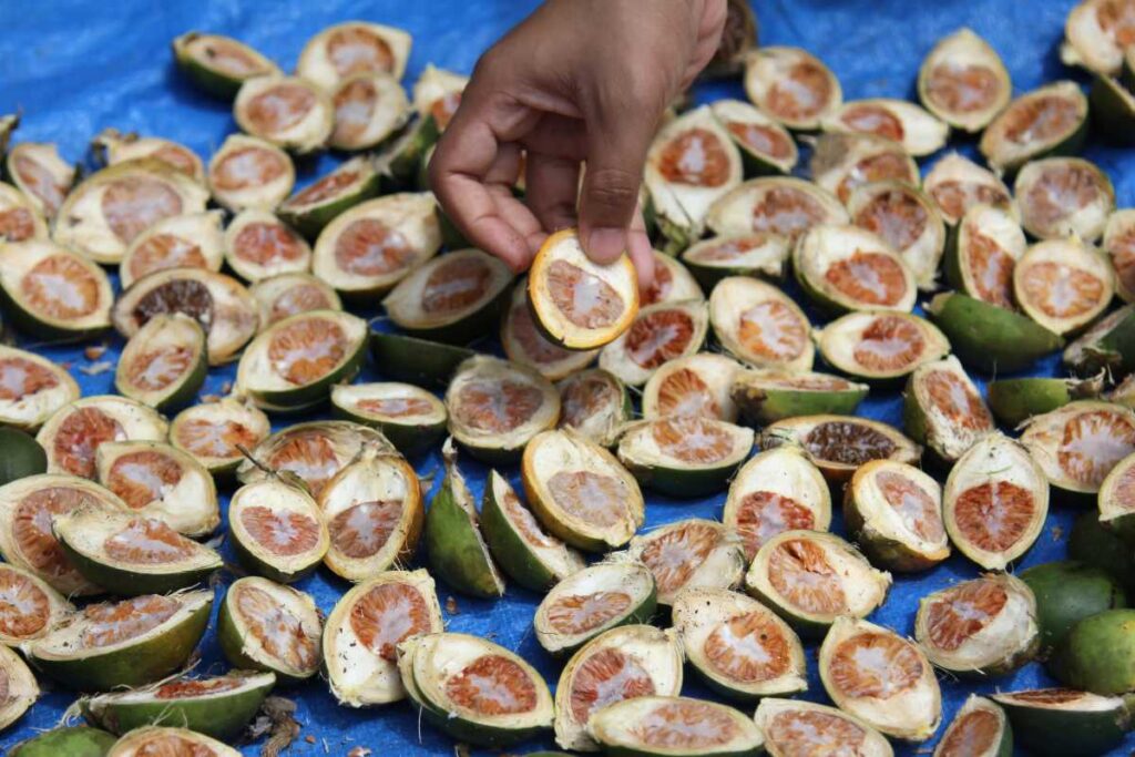 History of Betel Nut in Indonesia