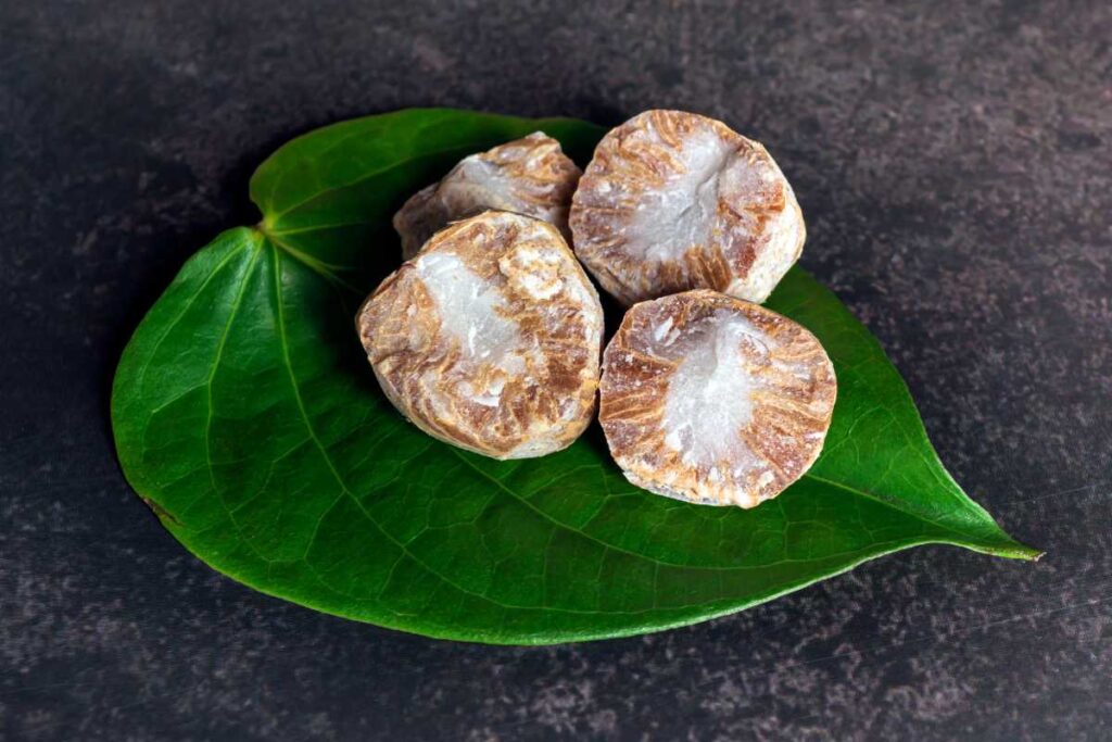 Potential Health Benefits of Betel Nut