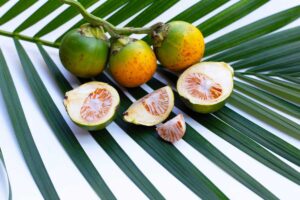 Betel Nut Good for Health