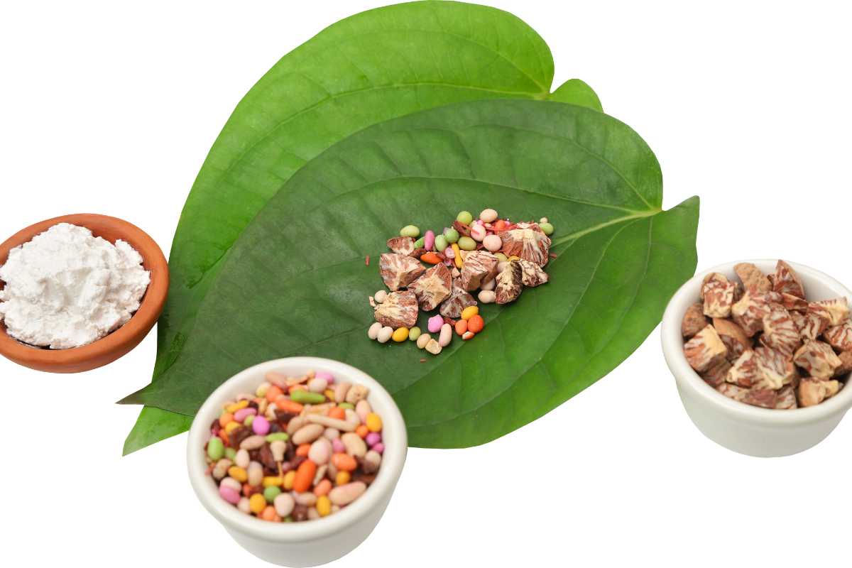 Is Betel Nut Good for Health? Unveiling the Dangers! - Indonesian Betel ...